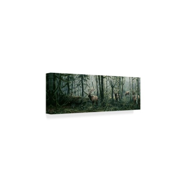 Jeff Tift 'Enchanted Forest' Canvas Art,10x32